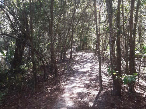 Shingle Creek Management Area