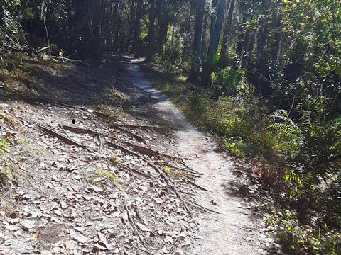 Shingle Creek Management Area