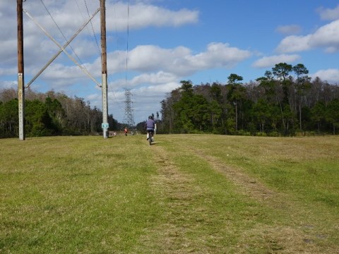 Shingle Creek Management Area