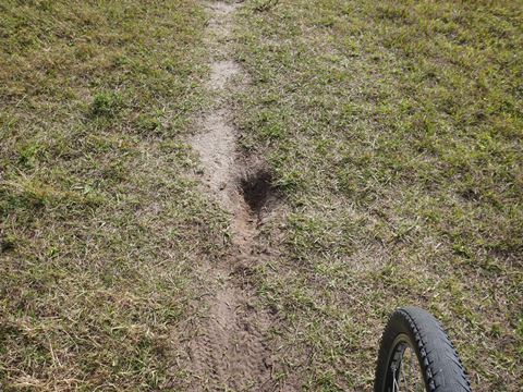 Shingle Creek Management Area