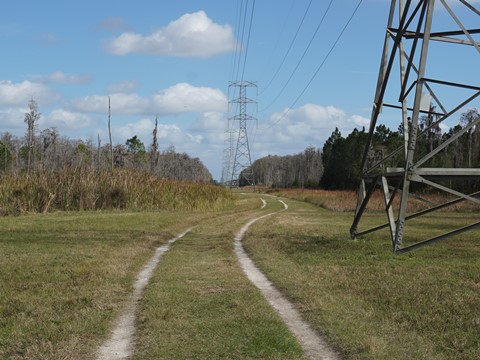 Shingle Creek Management Area