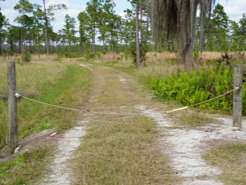 Shingle Creek Management Area