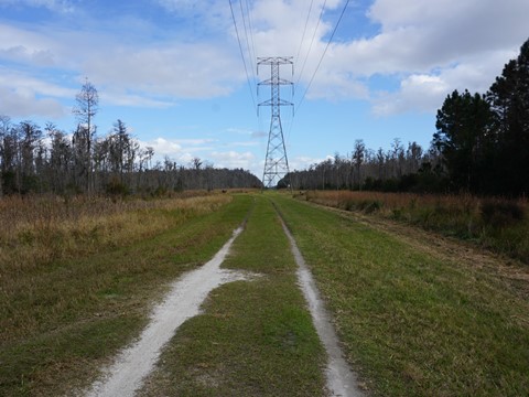 Shingle Creek Management Area