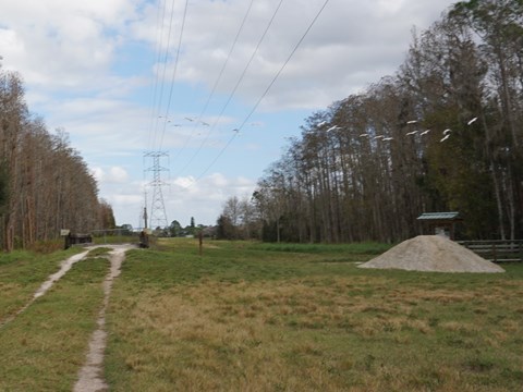 Shingle Creek Management Area