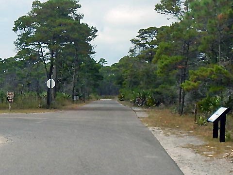 Topsail Hill Preserve State Park, Santa Rosa Beach, Florida eco-biking and hiking