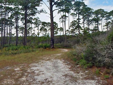 Topsail Hill Preserve State Park, Santa Rosa Beach, Florida eco-biking and hiking