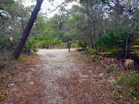 Topsail Hill Preserve State Park, Santa Rosa Beach, Florida eco-biking and hiking