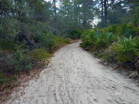 Topsail Hill Preserve State Park, Santa Rosa Beach, Florida eco-biking and hiking