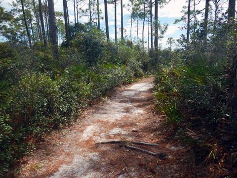 Topsail Hill Preserve State Park, Santa Rosa Beach, Florida eco-biking and hiking