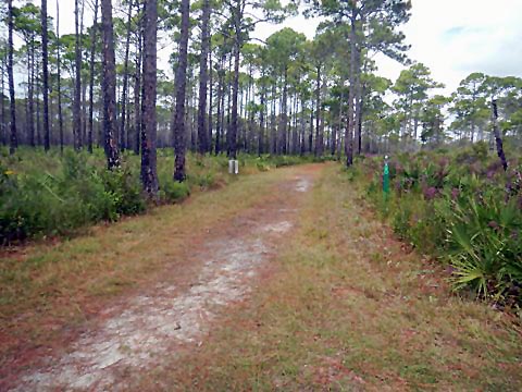 Topsail Hill Preserve State Park, Santa Rosa Beach, Florida eco-biking and hiking