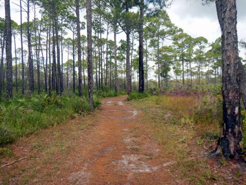 Topsail Hill Preserve State Park, Santa Rosa Beach, Florida eco-biking and hiking