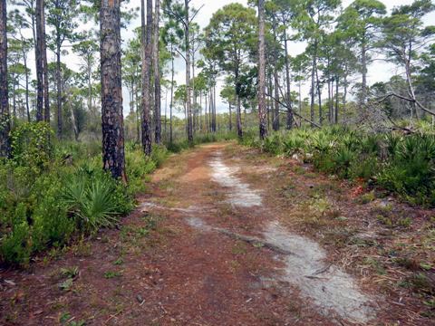 Topsail Hill Preserve State Park, Santa Rosa Beach, Florida eco-biking and hiking