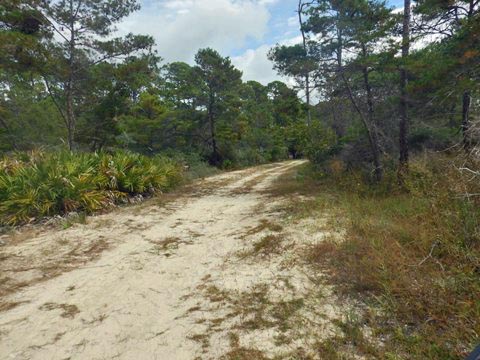 Topsail Hill Preserve State Park, Santa Rosa Beach, Florida eco-biking and hiking