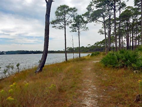 Topsail Hill Preserve State Park, Santa Rosa Beach, Florida eco-biking and hiking