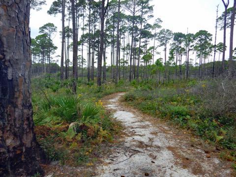 Topsail Hill Preserve State Park, Santa Rosa Beach, Florida eco-biking and hiking