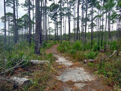 Topsail Hill Preserve State Park, Santa Rosa Beach, Florida eco-biking and hiking