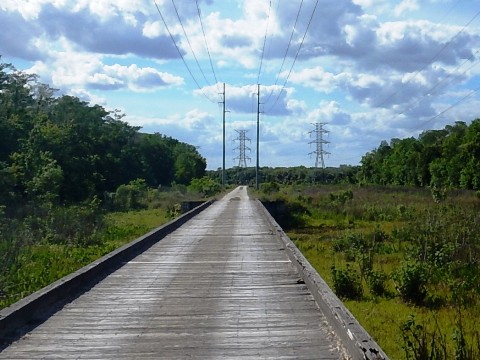 Tosohatchee WMA