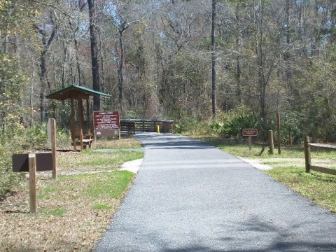 Woodpecker Trail, Big Shoals State Park