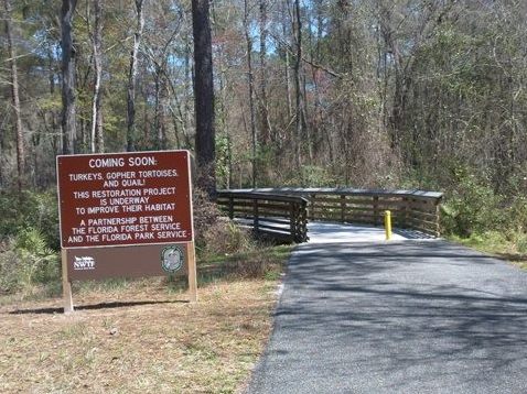 Florida Bike Trails, Woodpecker Trail, Big Shoals State Park