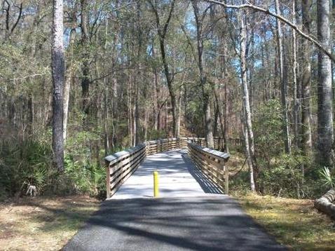 Florida Bike Trails, Woodpecker Trail, Big Shoals State Park