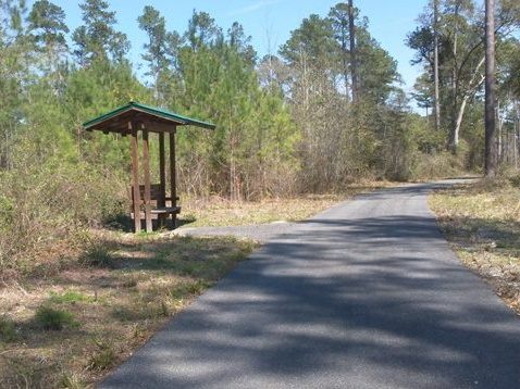 Florida Bike Trails, Woodpecker Trail, Big Shoals State Park