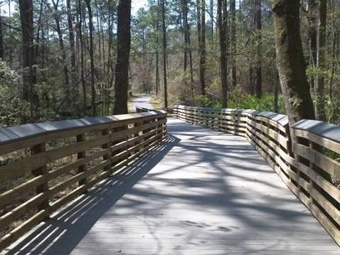 Florida Bike Trails, Woodpecker Trail, Big Shoals State Park