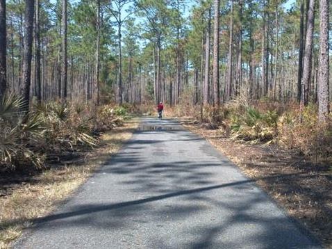 Florida Bike Trails, Woodpecker Trail, Big Shoals State Park