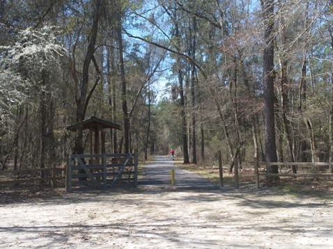 Florida Bike Trails, Woodpecker Trail, Big Shoals State Park