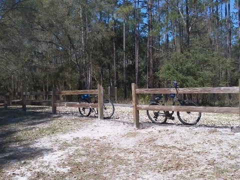 Florida Bike Trails, Woodpecker Trail, Big Shoals State Park