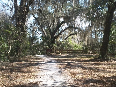 Florida Bike Trails, Woodpecker Trail, Big Shoals State Park