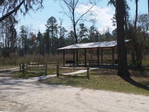 Florida Bike Trails, Woodpecker Trail, Big Shoals State Park