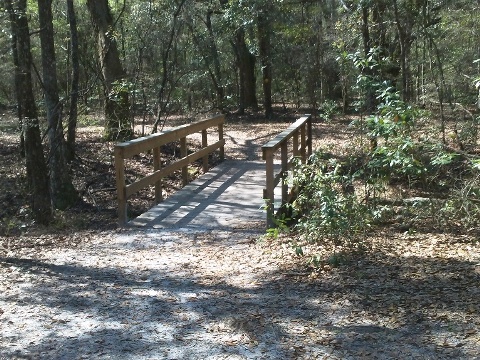 Florida Bike Trails, Woodpecker Trail, Big Shoals State Park