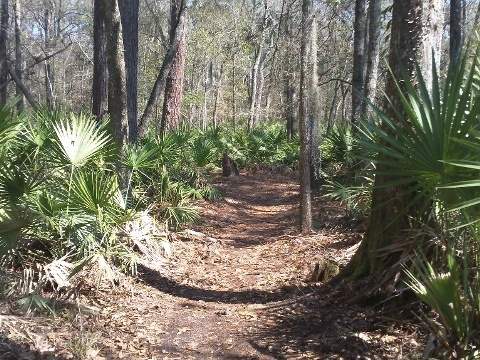 Florida Bike Trails, Woodpecker Trail, Big Shoals State Park