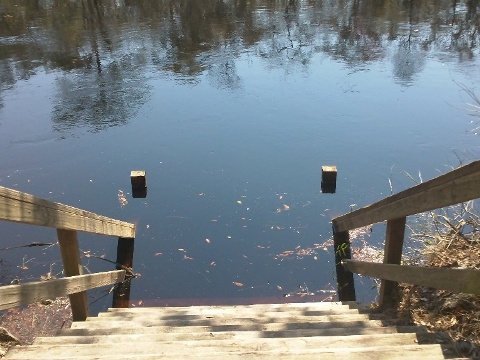 Florida Bike Trails, Woodpecker Trail, Big Shoals State Park