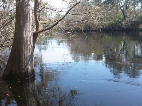 Florida Bike Trails, Woodpecker Trail, Big Shoals State Park