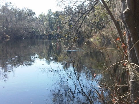 Florida Bike Trails, Woodpecker Trail, Big Shoals State Park