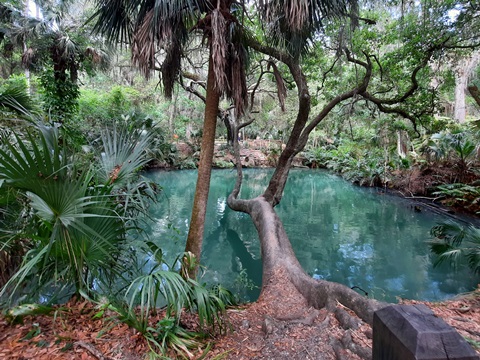 Florida biking, East Central Rail Trail, Enterprise, Osteen