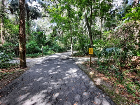 Florida biking, East Central Rail Trail, Enterprise, Osteen