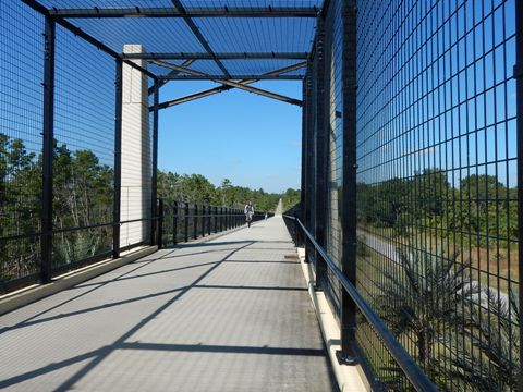 Florida biking, Volusia County, East Central Rail Trail, Edgewater