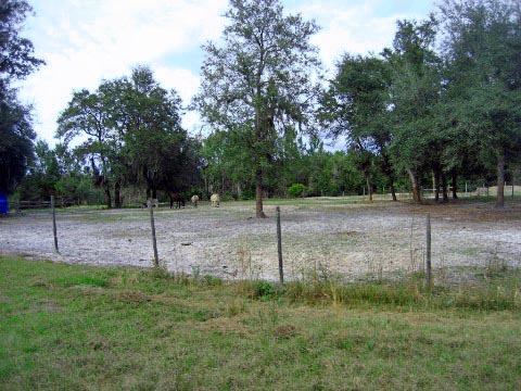 Florida biking, East Central Rail Trail, Enterprise, Osteen