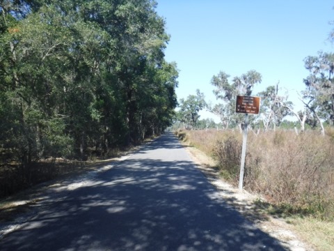 Gainesville-Hawthorne State Trail, Downtown Connector