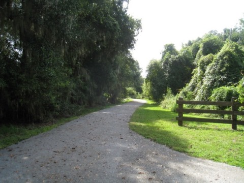 Alachua Lake Overlook