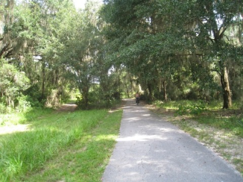 Alachua Lake Overlook