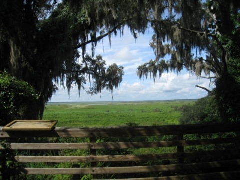 Alachua Lake Overlook