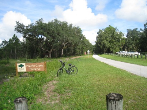 Alachua Lake Overlook