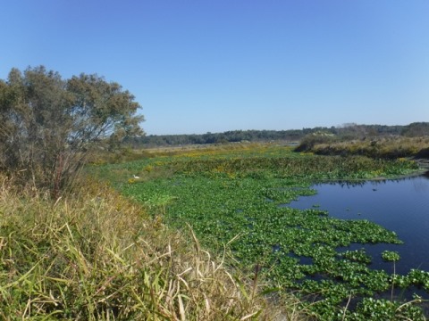 La Chua Trail