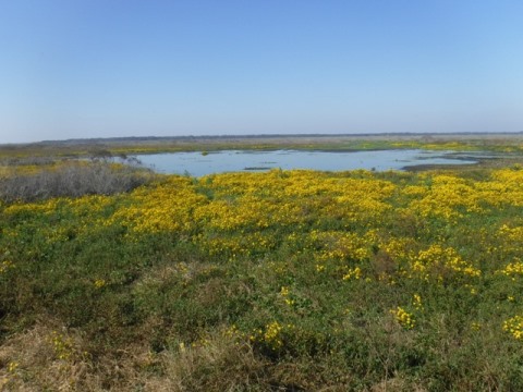 La Chua Trail