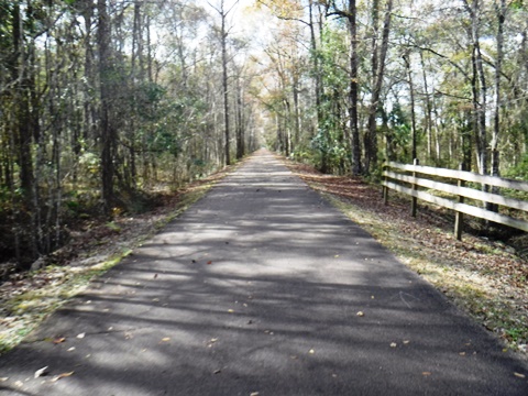 Jacksoville-Baldwin Rail Trail