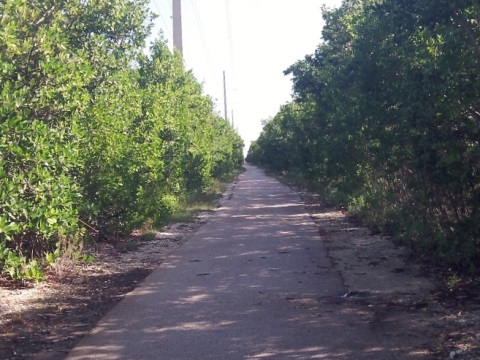 Florida Keys biking