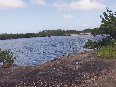 Florida Keys biking